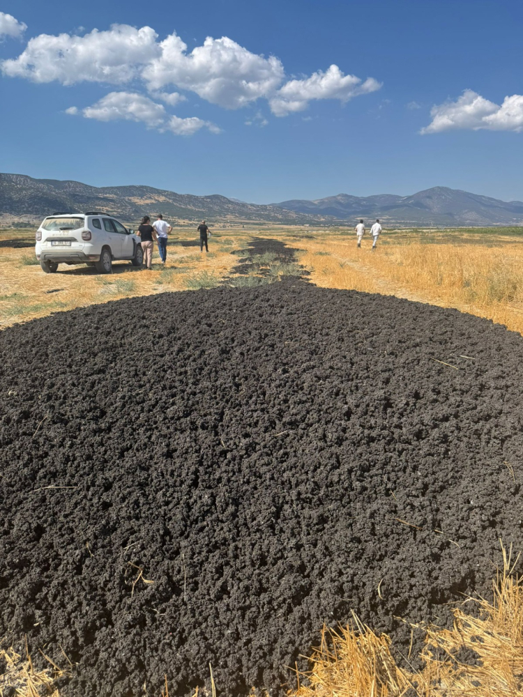 26 kamyon dolusu arıtma çamurunu açık araziye döktüler